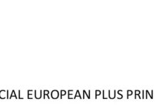 E-Skill – Abilități digitale pentru piața muncii – COD SMIS 334321