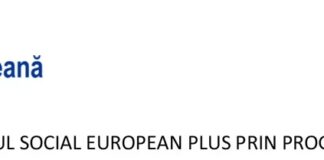 E-Skill – Abilități digitale pentru piața muncii – COD SMIS 334321