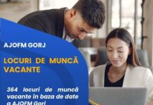 AJOFM: Sute de locuri de muncă disponibile în județul nostru