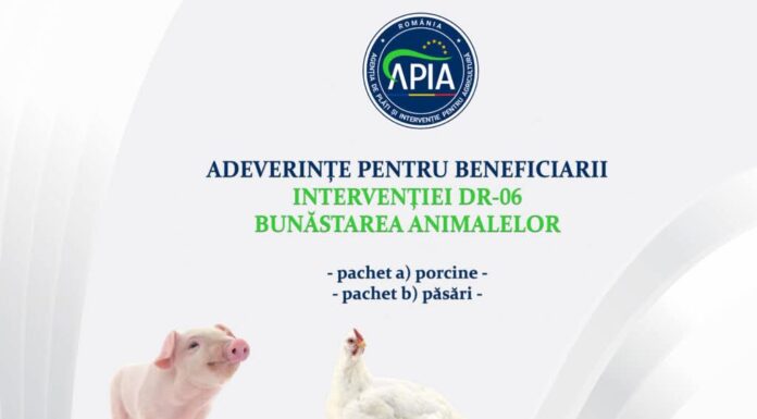 APIA eliberează adeverințe pentru beneficiarii intervenției DR 06