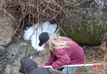 Târgu Jiu: Abator de păsări amendat drastic