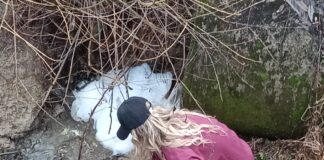 Târgu Jiu: Abator de păsări amendat drastic