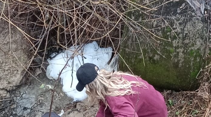 Târgu Jiu: Abator de păsări amendat drastic