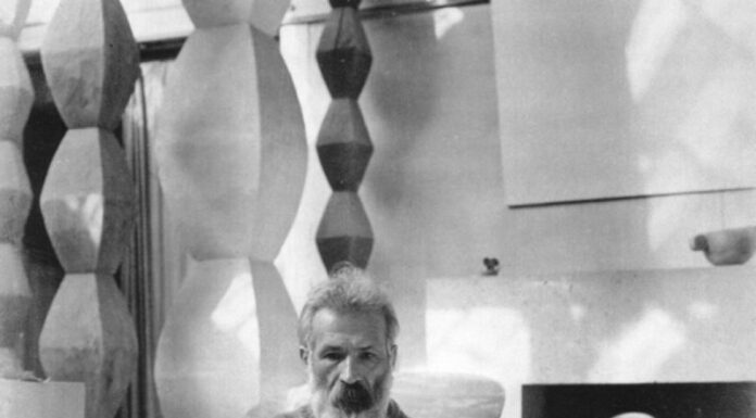 Constantin Brâncuși – 150 – Constantin Brâncuși și muzica