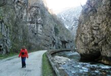 Astenii de primăvară – Drumeț pe Șușița Verde și Sohodolul plaiului gorjean