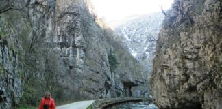 Astenii de primăvară – Drumeț pe Șușița Verde și Sohodolul plaiului gorjean