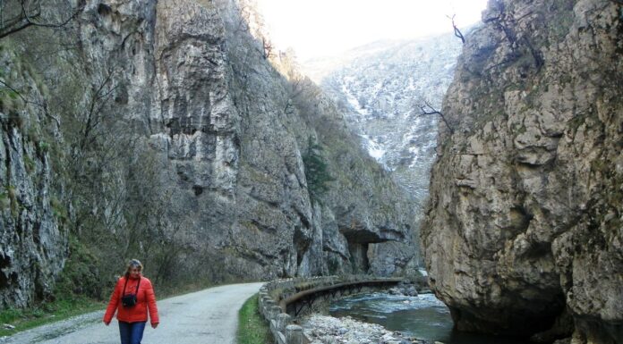 Astenii de primăvară – Drumeț pe Șușița Verde și Sohodolul plaiului gorjean