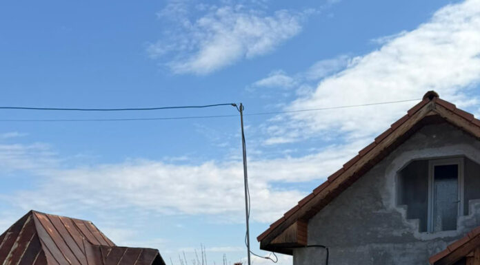 Campania de microcipare a câinilor, la Ciuperceni