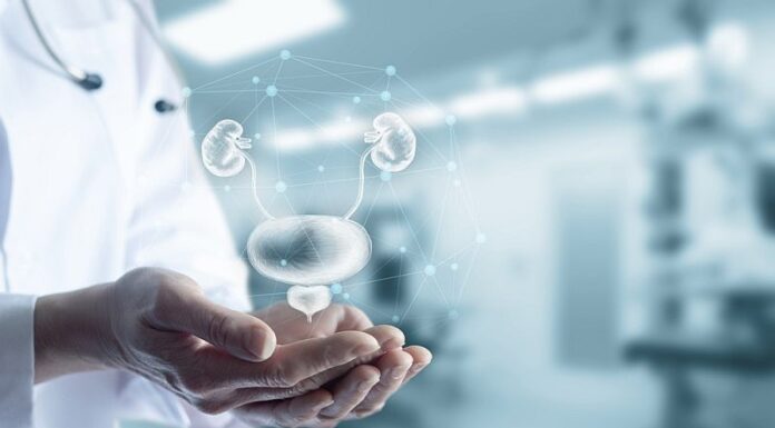 Nutrienți și extracte vegetale utilizate pentru sănătatea prostatei