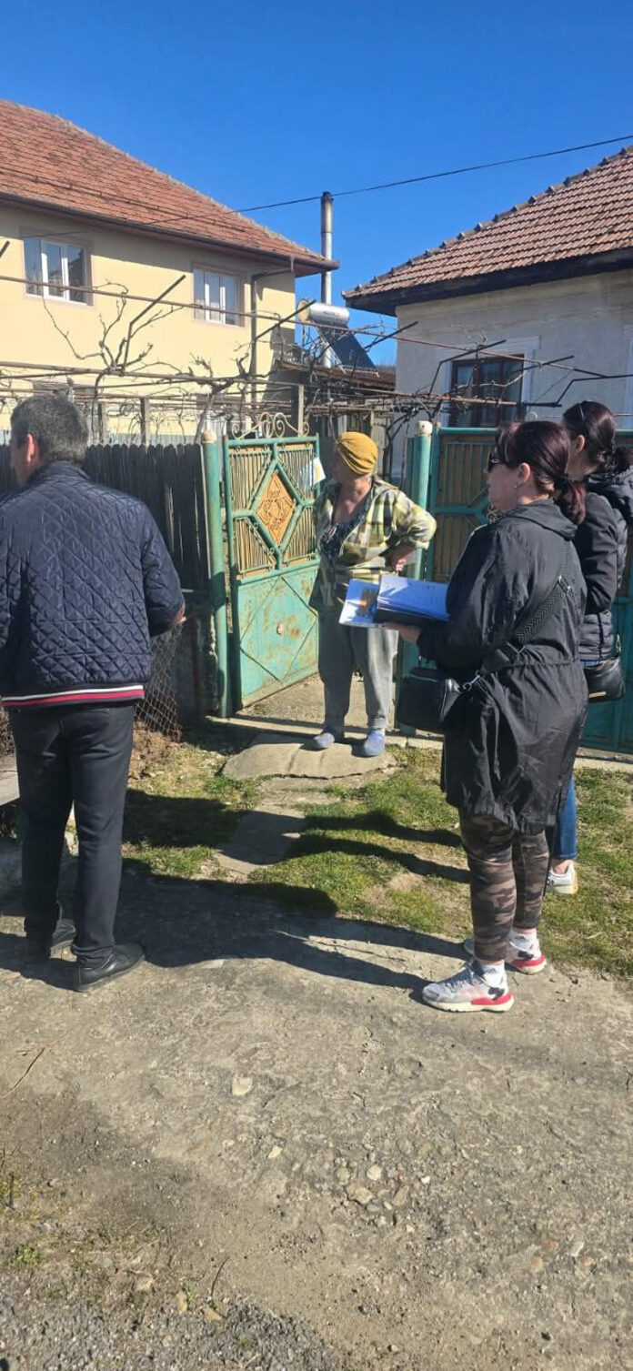 Chiar și gratuit, nu prea vor să își sterilizeze câinii! Crește numărul maidanezilor!