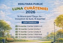 Luna Curățeniei începe pe 9 martie la Târgu Jiu. Primele cartiere vizate