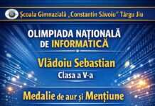 Elev de la „Săvoiu”, în lotul național de informatică
