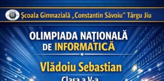 Elev de la „Săvoiu”, în lotul național de informatică