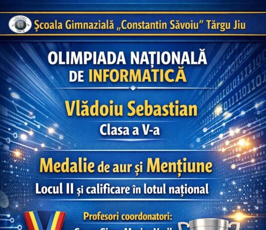 Elev de la „Săvoiu”, în lotul național de informatică