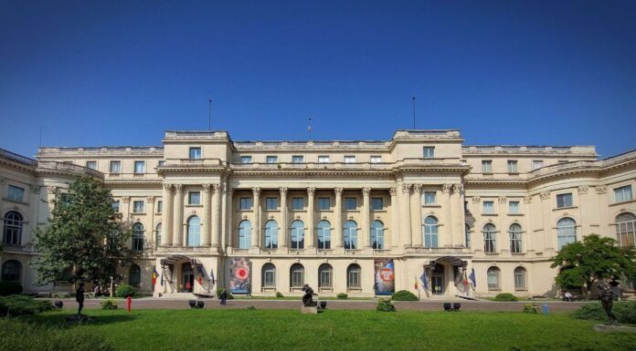 Primele autoportrete și carnetul de schițe ale lui Brâncuși, expuse la sediul Muzeului Național de Artă al României din București