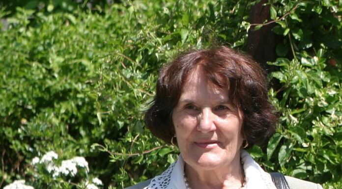 Minunea Vieții mele