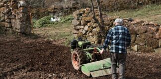 Motosapa versus uneltele tradiționale de grădinărit