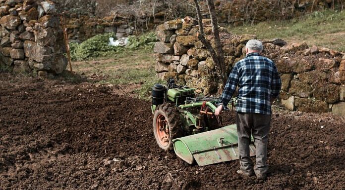 Motosapa versus uneltele tradiționale de grădinărit