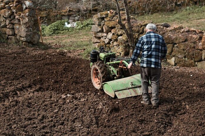 Motosapa versus uneltele tradiționale de grădinărit