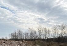 Firmă din Drăguțești, amendată cu 70.000 de lei