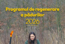 Romsilva demarează campania de împăduriri