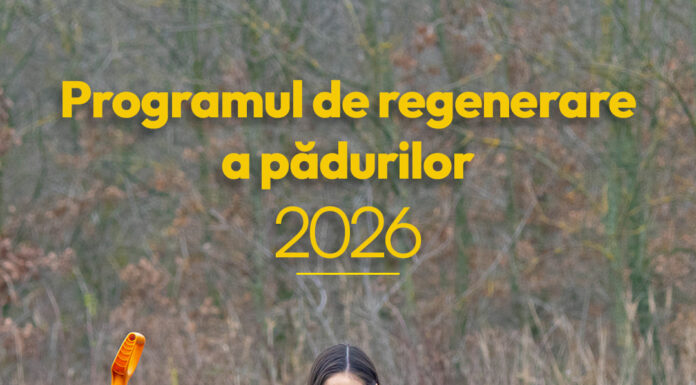 Romsilva demarează campania de împăduriri