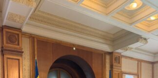 Limitarea accesului copiilor la rețelele sociale, în lucru