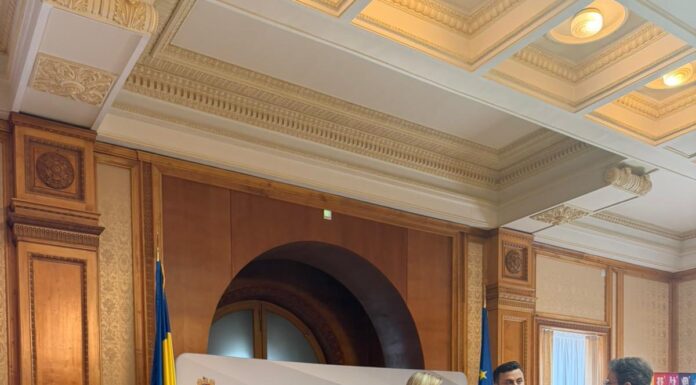 Limitarea accesului copiilor la rețelele sociale, în lucru