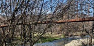 Amenzi de peste 52.000 de lei pentru gunoaiele aruncate lângă râu, la Glogova