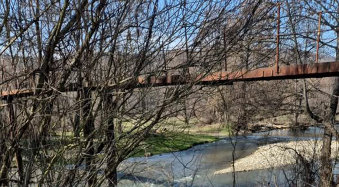 Amenzi de peste 52.000 de lei pentru gunoaiele aruncate lângă râu, la Glogova