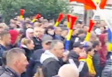 Protest, ziua 5. Nicio demitere! Șefii CEO păgubesc compania!