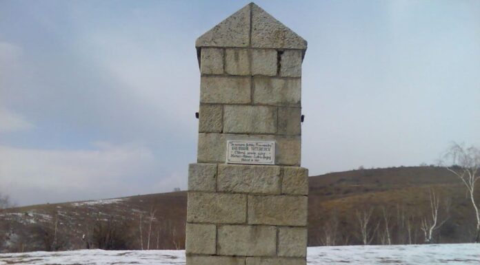 Constantin Brâncuşi şi Novaciul