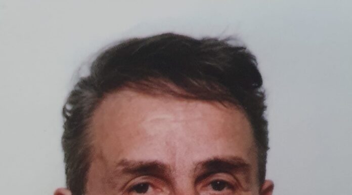 Omul care face bolovanii să vorbească