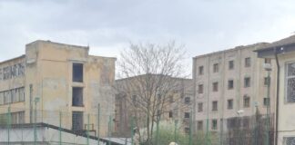 O zi cât o poveste, în Săptămâna Verde, la „Magheru”