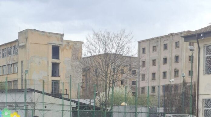 O zi cât o poveste, în Săptămâna Verde, la „Magheru”