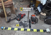 Percheziții în Polovragi, într-un dosar de furt de material lemnos