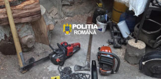 Percheziții în Polovragi, într-un dosar de furt de material lemnos