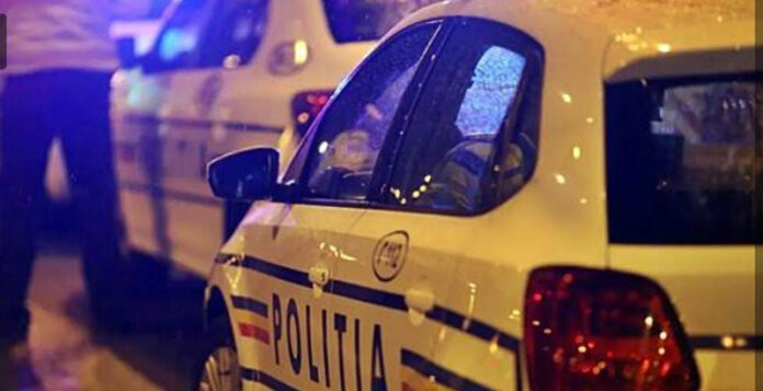 Adolescent din Maramureș, prins la volanul unei autoutilitare în Gorj