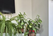 Micii câștigători ai concursului derulat de „Gorjeanul” vin să își ridice premiile