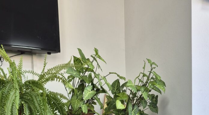 Micii câștigători ai concursului derulat de „Gorjeanul” vin să își ridice premiile