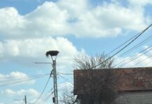 Se modifică programul de colectare a deșeurilor. Vezi localitățile!