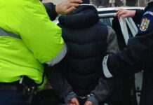 Frați reținuți după ce s-au bătut pe câmp