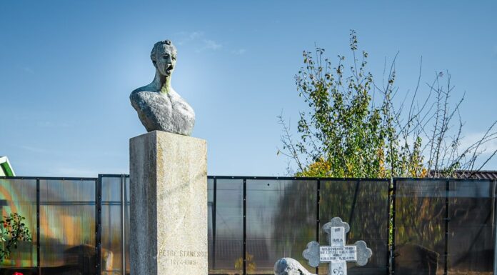 «Rugăciune» îndurerată în loc de resemnare, la Brâncuşi – ,,Un monument lui Petre Stănescu la Buzău. O comandă obişnuită, ca orice comandă. Dar era prima mea ciocnire cu responsabilitatea”!