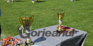 S-au stabilit semifinalele cupei județene