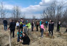 Puieți plantați pe locul unei foste sonde de petrol