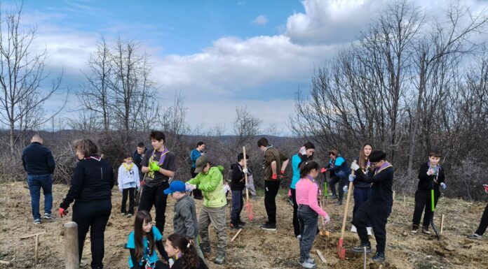 Puieți plantați pe locul unei foste sonde de petrol