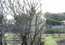 Agricultura pe înțelesul tuturor – Lucrări agricole în repausul vegetativ