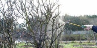 Agricultura pe înțelesul tuturor – Lucrări agricole în repausul vegetativ