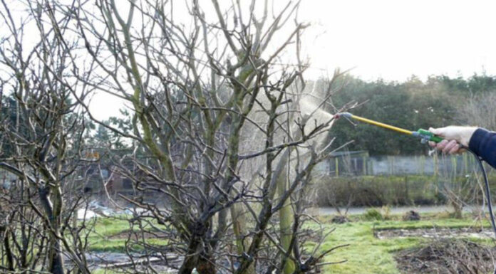 Agricultura pe înțelesul tuturor – Lucrări agricole în repausul vegetativ