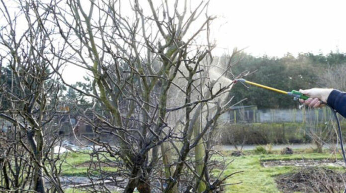 Agricultura pe înțelesul tuturor – Lucrări agricole în repausul vegetativ